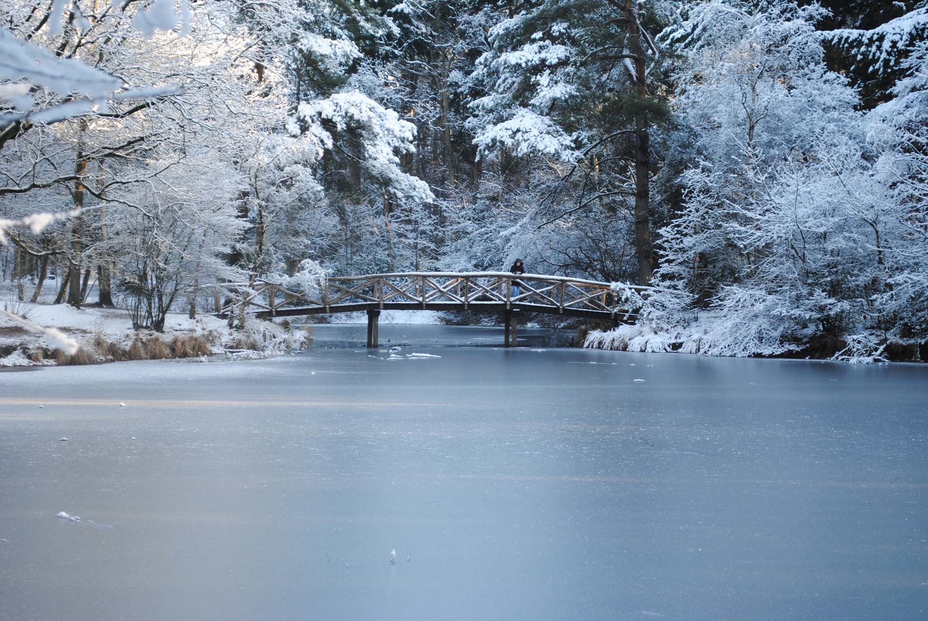 winterkamperen-vijver-camping-de-waps
