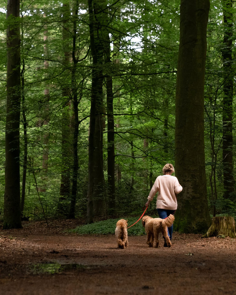 Camping De Waps prachtige wandel- en fietspaden en als uitvalsbasis Gaasterland verkennen Camping De Waps prachtige wandel- en fietspaden en als uitvalsbasis Gaasterland verkennen