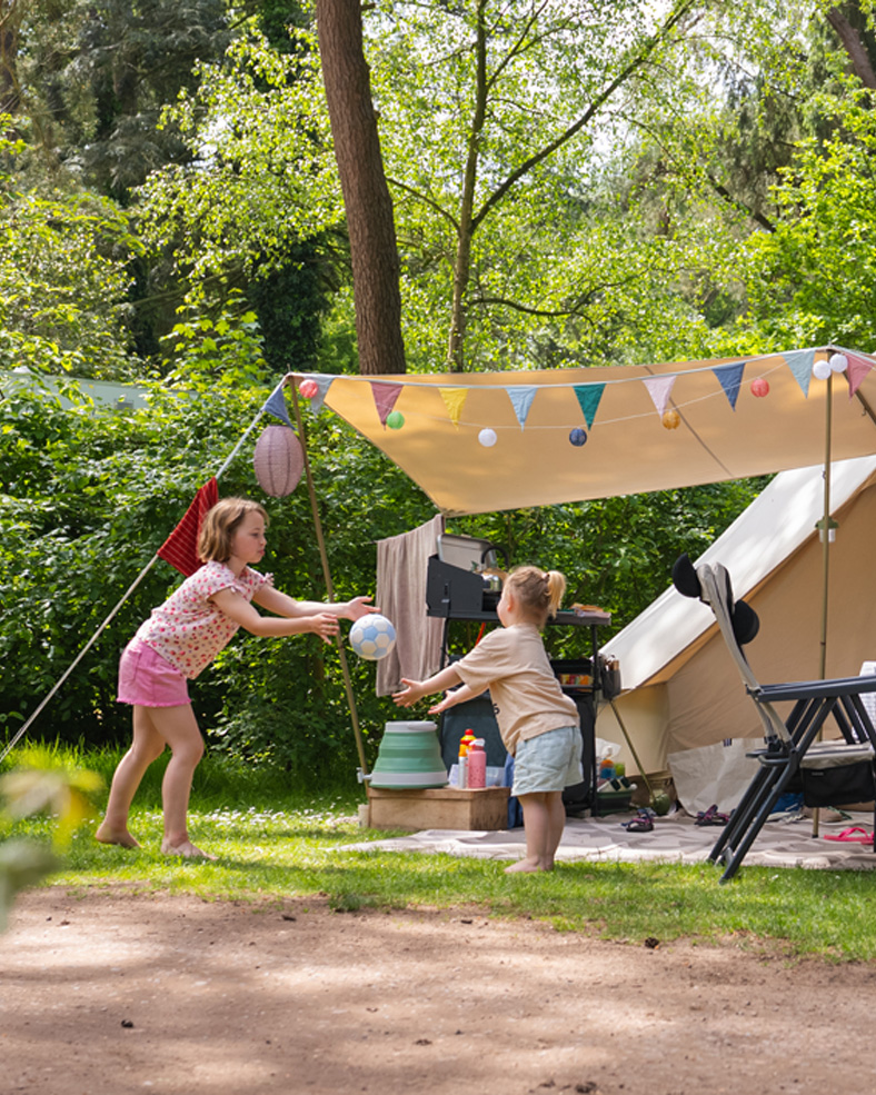 Kamperen op Camping De Waps te Oudemirdum in Friesland